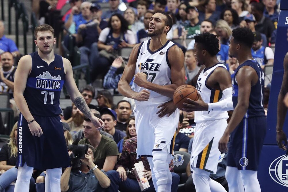 Luka Doncic and Rudy Gobert could team up in Dallas. (Photo by Kevin Jairaj/USA TODAY Sports)